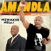 Mzwakhe Mbuli - Amandla