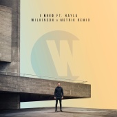Wilkinson - I Need (feat. Hayla) [Wilkinson & Metrik Remix]