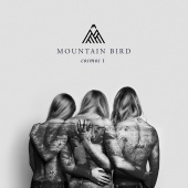Mountain Bird - Cosmos I