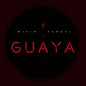 Wisin & Yandel - Guaya