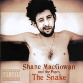 Shane MacGowan & The Popes - The Snake