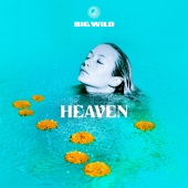 Big Wild - Heaven