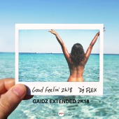 DJ Flex - Good Feelin' [Gaidz Extended 2k18]