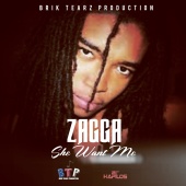 Zagga - She Want Me - Single