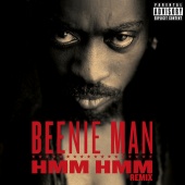 Beenie Man - Hmm Hmm [Remix]