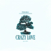 Future Animals - Crazy Love