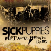 Sick Puppies - What Are You Looking For [Radio Mix]