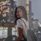 David K - Meet You [Remixes]