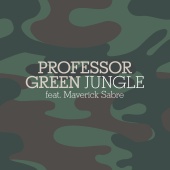 Professor Green - Jungle