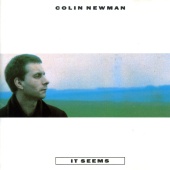 Colin Newman - It Seems