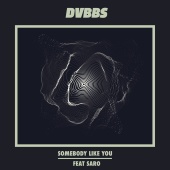 DVBBS - Somebody Like You