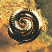 Nine Inch Nails - Closer To God