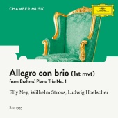 Elly Ney & Wilhelm Stross & Ludwig Hoelscher - Brahms: Piano Trio No. 1 In B, Op. 8: I. Allegro con brio