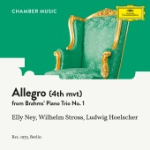 Elly Ney & Wilhelm Stross & Ludwig Hoelscher - Brahms: Piano Trio No. 1 In B, Op. 8: IV. Allegro