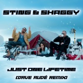 Sting & Shaggy & Dave Audé - Just One Lifetime [Dave Audé Remix]