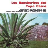 Los Rancheritos Del Topo Chico - No Vuelvo Contigo