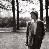 David Sylvian - Brilliant Trees [Remastered 2003]