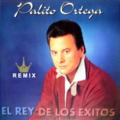Palito Ortega - El Rey de los Éxitos (Remix)