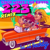 S3nsi Molly - 223 Remix