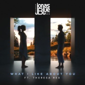 Jonas Blue - What I Like About You (feat. Theresa Rex)