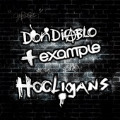 Don Diablo - Hooligans (Radio Edit)