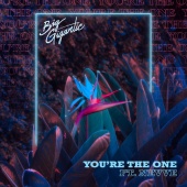 Big Gigantic - You're The One (feat. Nevve)