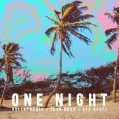 Hollaphonic - One Night