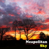 The Avett Brothers - Neapolitan Sky