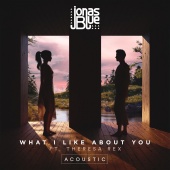 Jonas Blue - What I Like About You (feat. Theresa Rex) [Acoustic]