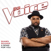 Shawn Sounds - A Song For You [The Voice Performance]