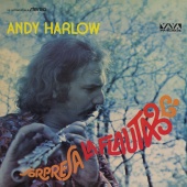 Andy Harlow - Sorpresa La Flauta