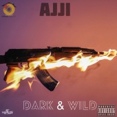 Ajji & Armzhouse Records - Dark & Wild
