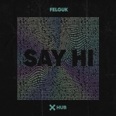 Felguk - Say Hi
