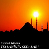 Mehmet Yıldırım - Teylaninin Sedaları