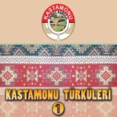 Kastamonu Sanat Kurulu - Kastamonu Türküleri ,Vol 1