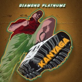 Diamond Platnumz - Kanyanga