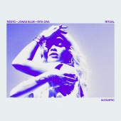 Tiësto & Jonas Blue & Rita Ora - Ritual [Acoustic]