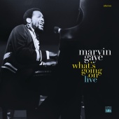 Marvin Gaye - Wholy Holy