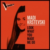 Madi Krstevski - Look What You Made Me Do