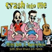 Steve Aoki - Crash Into Me (Settle Down Steavis Aoki Remix)