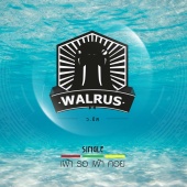 Walrus - Before it's too late