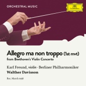 Karl Freund & Berliner Philharmoniker & Walther Davisson - Beethoven: Violin Concerto in D Major, Op. 61: 1. Allegro ma non troppo