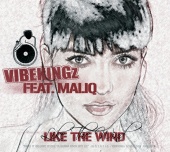 Vibekingz & Maliq - Like The Wind [Digital Version 2]