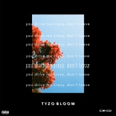 Tyzo Bloom - You Drive Me Crazy, Don't Leave