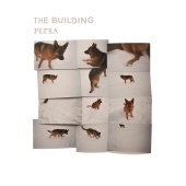 The Building - PETRA
