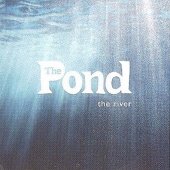 The Pond - The River