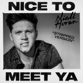 Niall Horan - Nice To Meet Ya [Stripped Version]