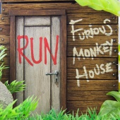 Furious Monkey House - Run