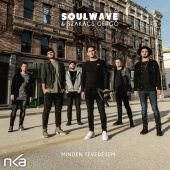 Soulwave - Minden Tévedésem (feat. Szakács Gergő)