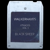Walker Hayes - 8Tracks, Vol. 3: Black Sheep